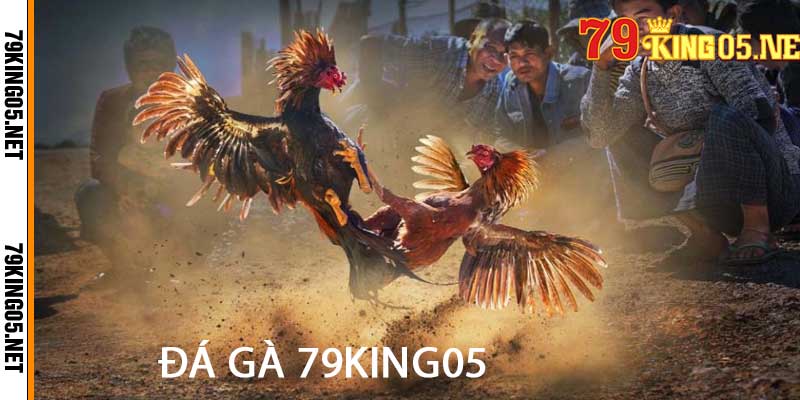 đá gà 79king05