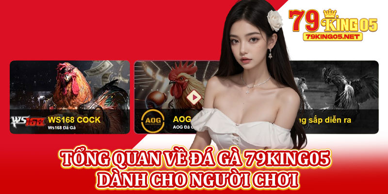 Tổng Quan Về Đá Gà 79king05 Dành Cho Người Chơi
